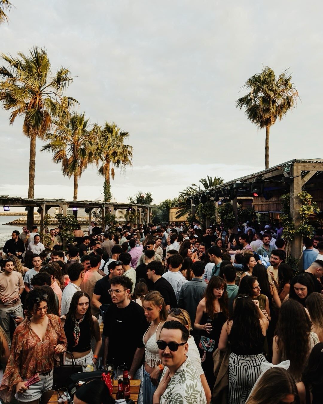 Qué pasó con PhiPhi, Blu, Playa Canalla y Margarita en Puerto Sherry